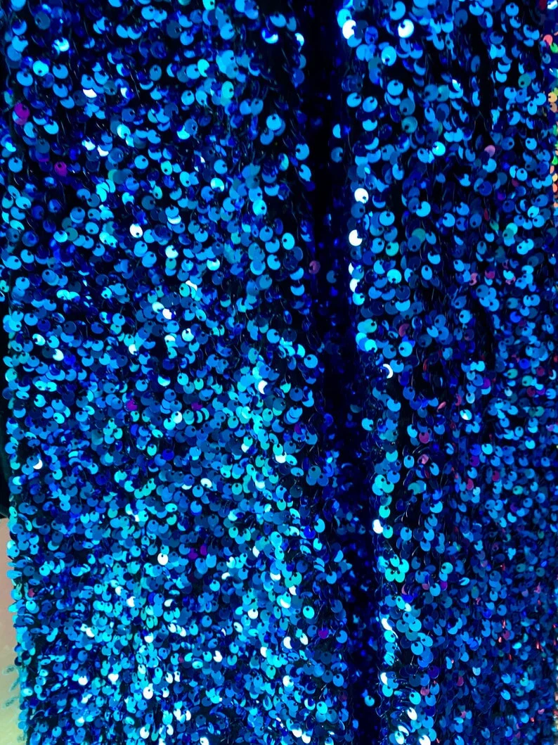Iridescent Sequin on Velvet - Image 6