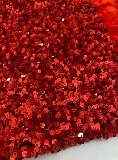 Sequin on Velvet - Image 21